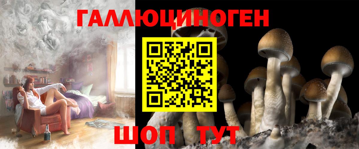 Галлюциногенные грибы прущие грибы  Воркута  Галлюциногенные грибы мицелий 