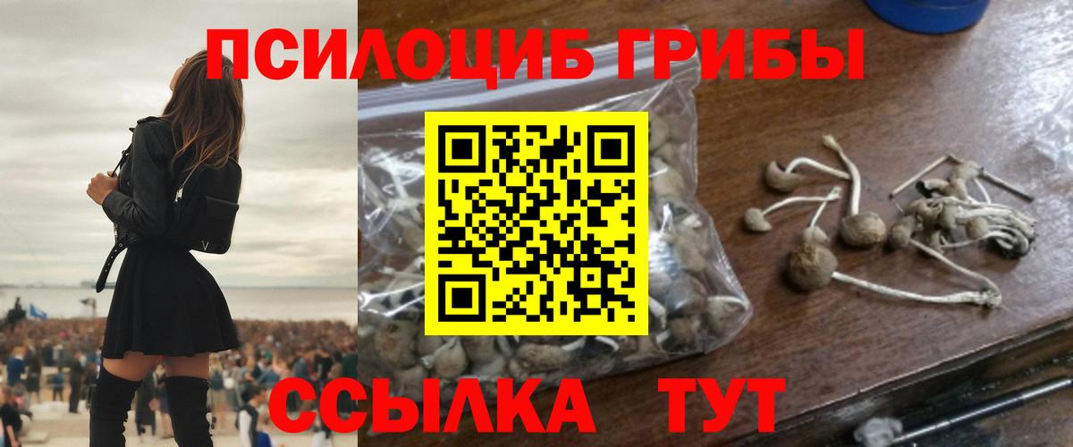 Воркута  Галлюциногенные грибы ЛСД  Вход с VPN 