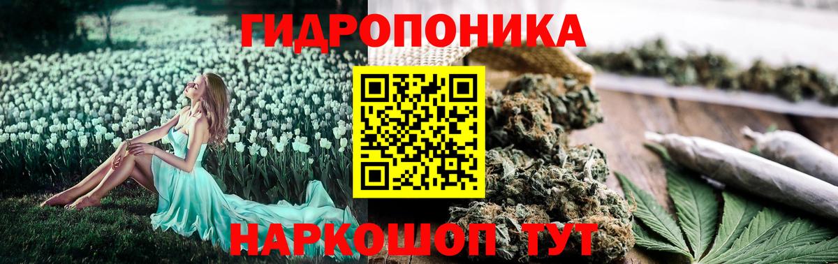 Бошки Шишки план Воркута